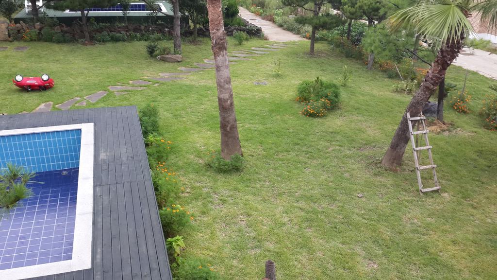 Jeju Olleh House Villa Exteriör bild
